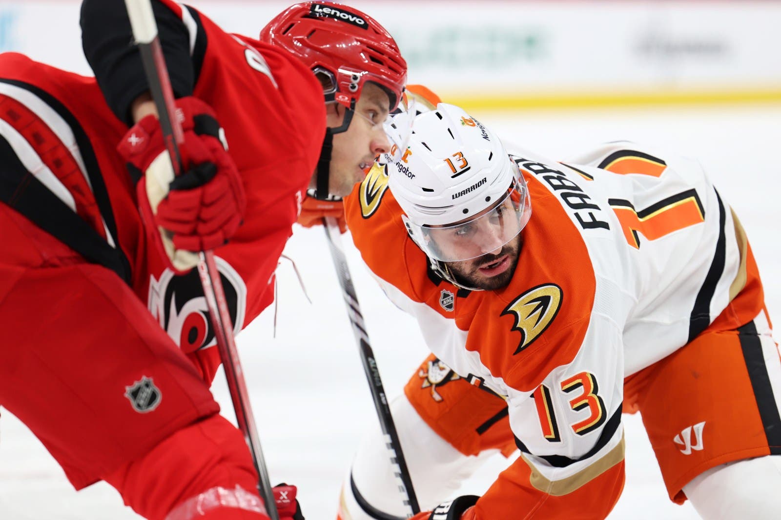 30-facts-about-hurricanes-vs-ducks
