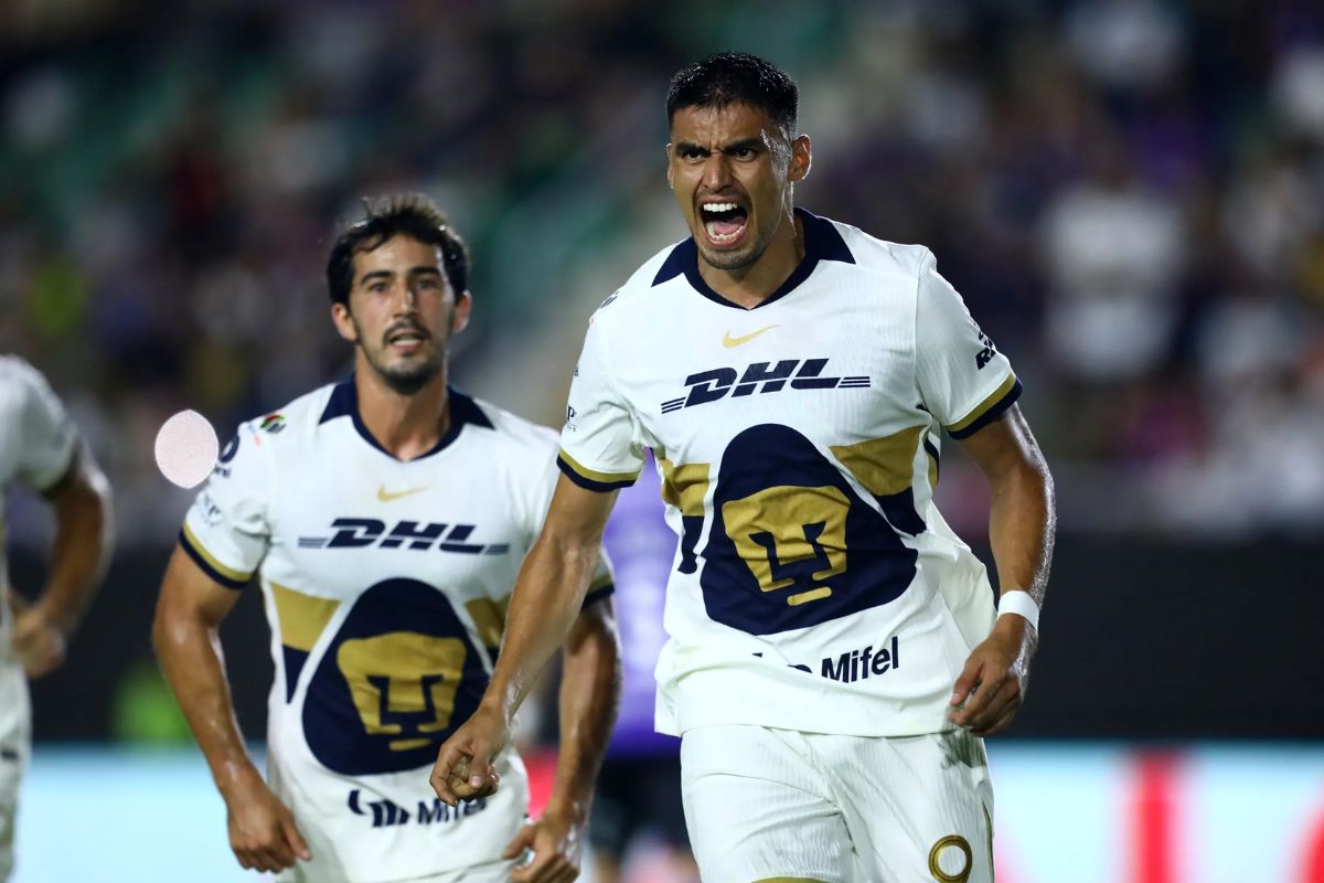 30-facts-about-pumas-unam