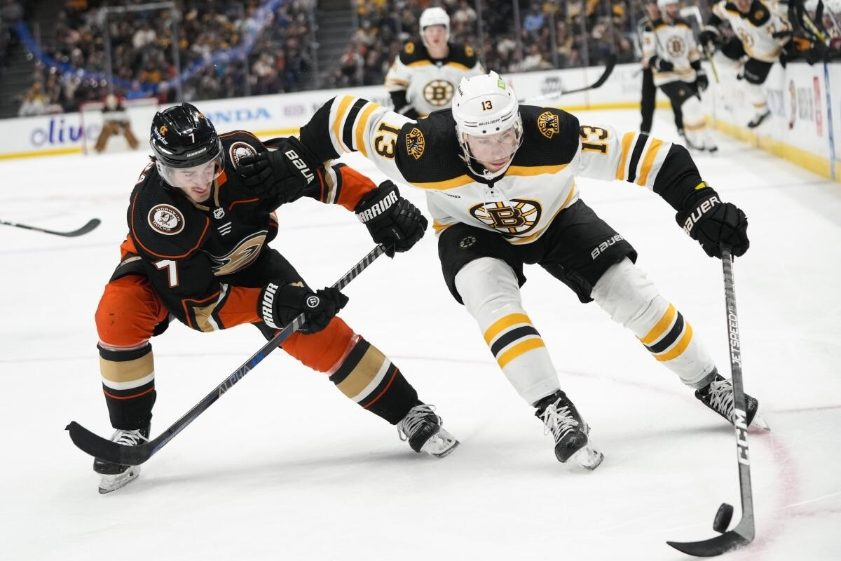 32 Facts About Ducks Vs Bruins