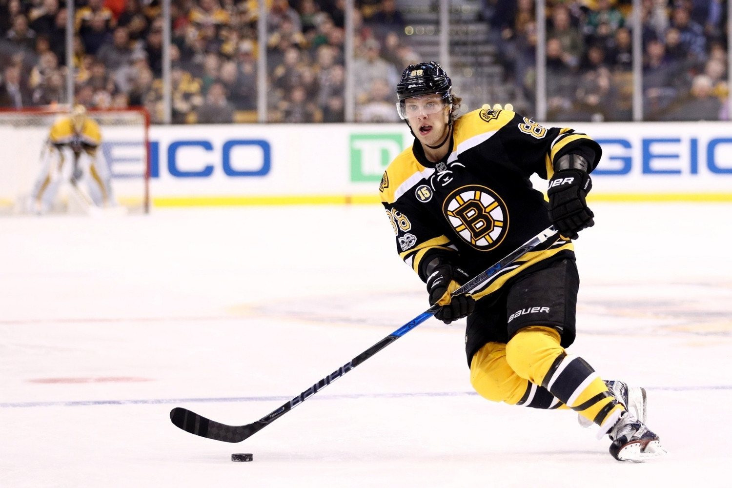 40-facts-about-the-boston-bruins