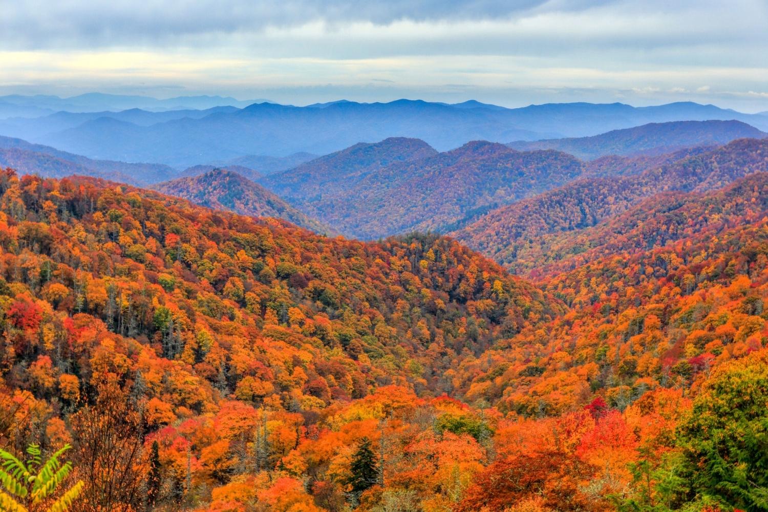 50-facts-about-great-smoky-mountains-national-park