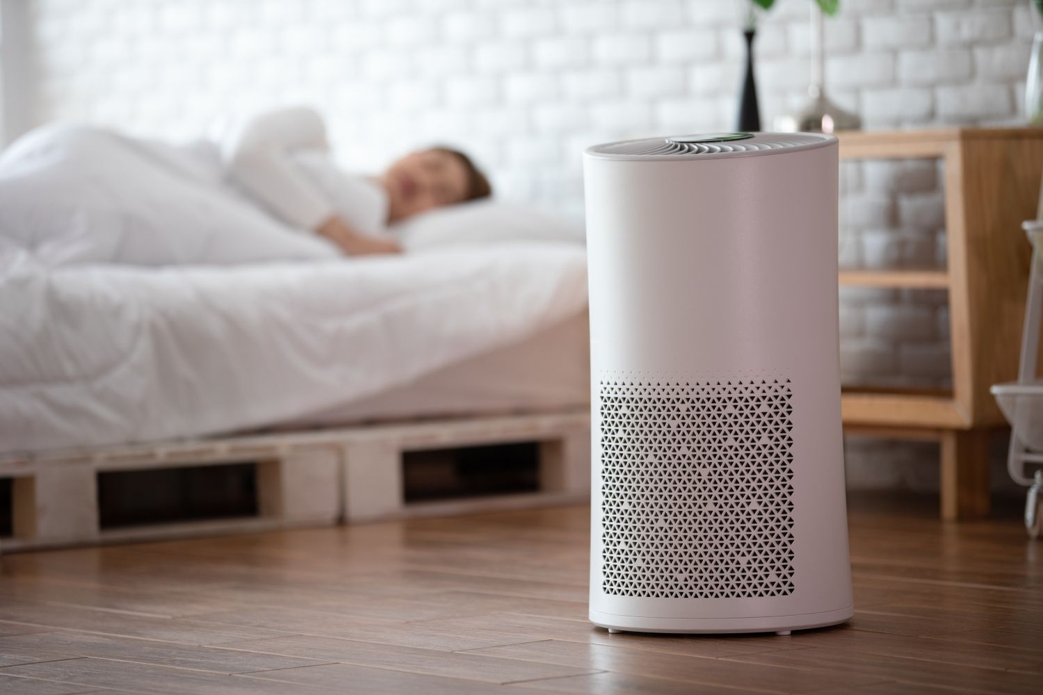 25 Facts About Air Purifiers 