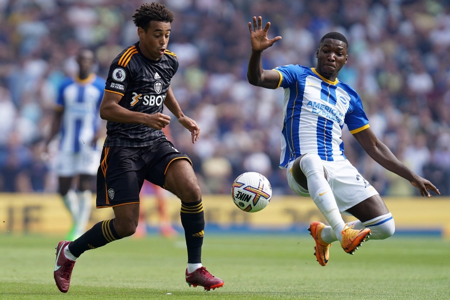 25 Facts About Brighton Vs Leeds United 