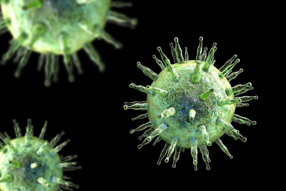 25 Facts About EpsteinBarr Virus 