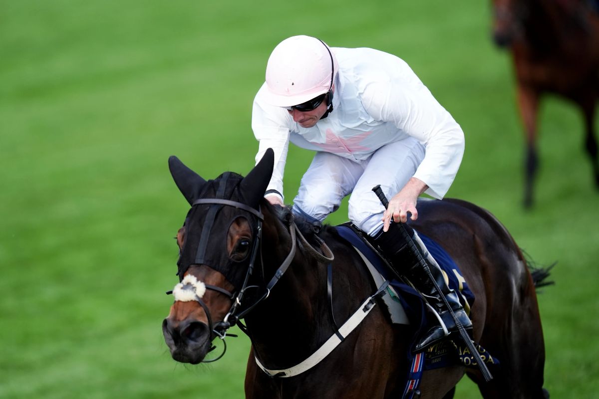 25 Facts About Ethical Diamond Horse 