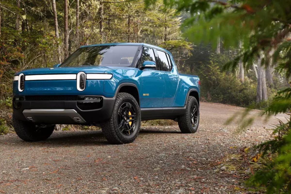 25 Facts About RIVN Stock 