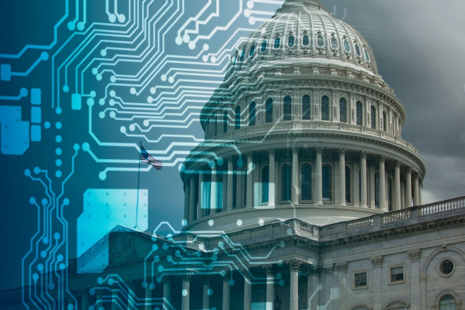 25 Facts About Senate Joint Resolution 8201 