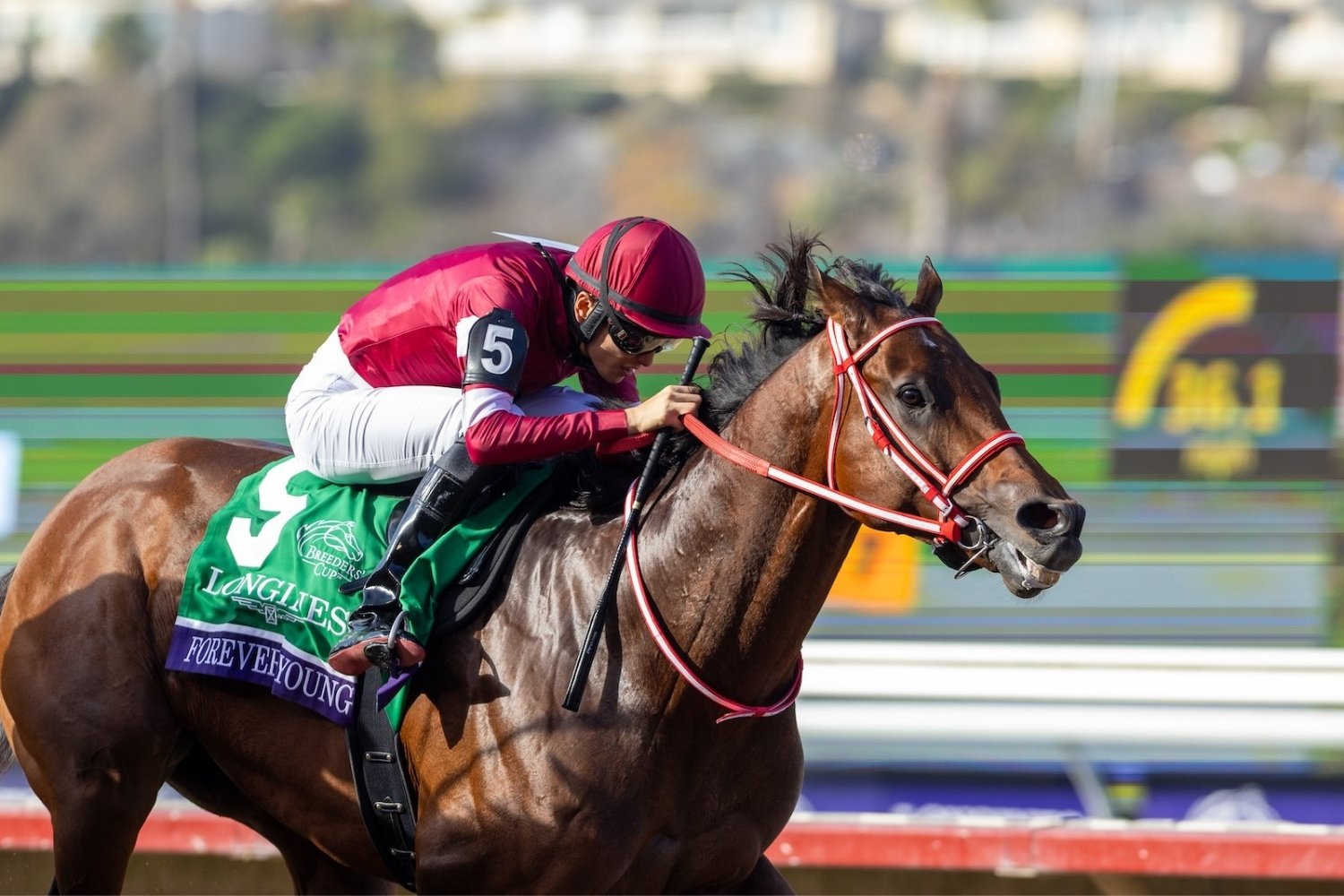 25 Facts About The Breeders Cup Classic 