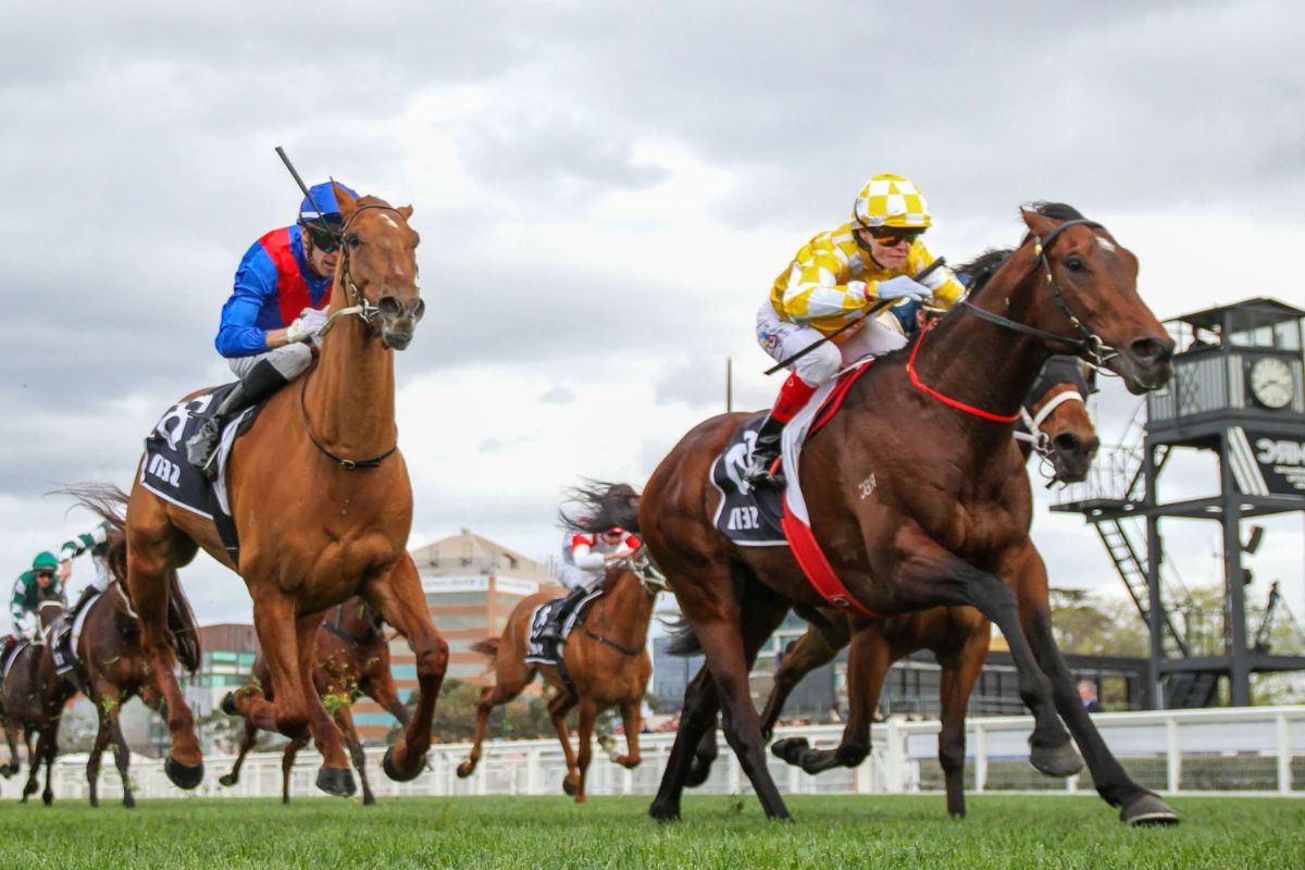 25 Facts About The Melbourne Cup 2025 