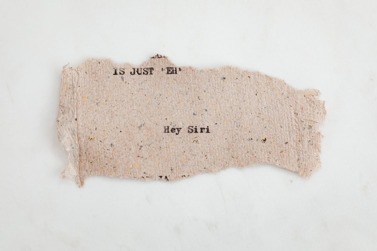 25 Facts About The Word Of The Year 