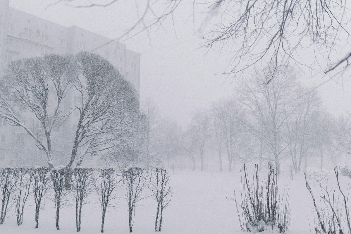 25 Facts About Winter Storms 