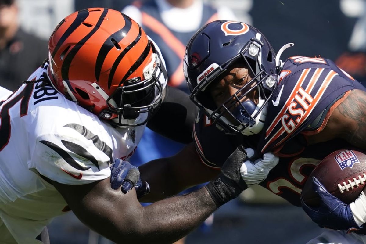 30 Facts About Bears Vs Bengals 