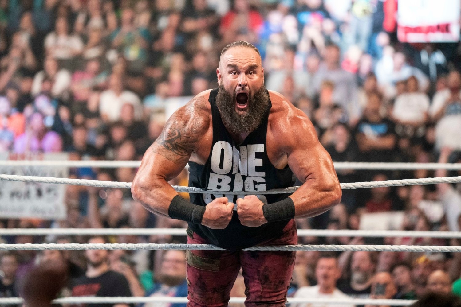 30 Facts About Braun Strowman 