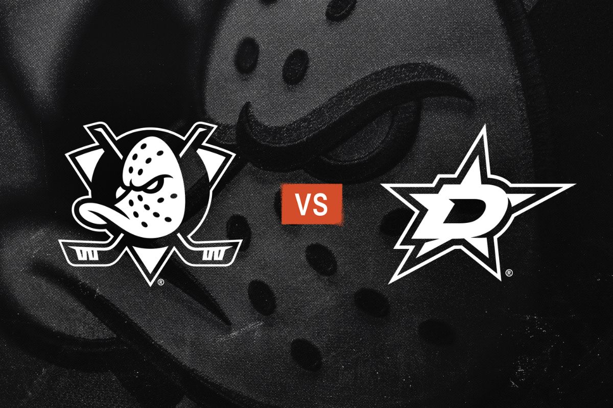 30 Facts About Ducks Vs Stars 