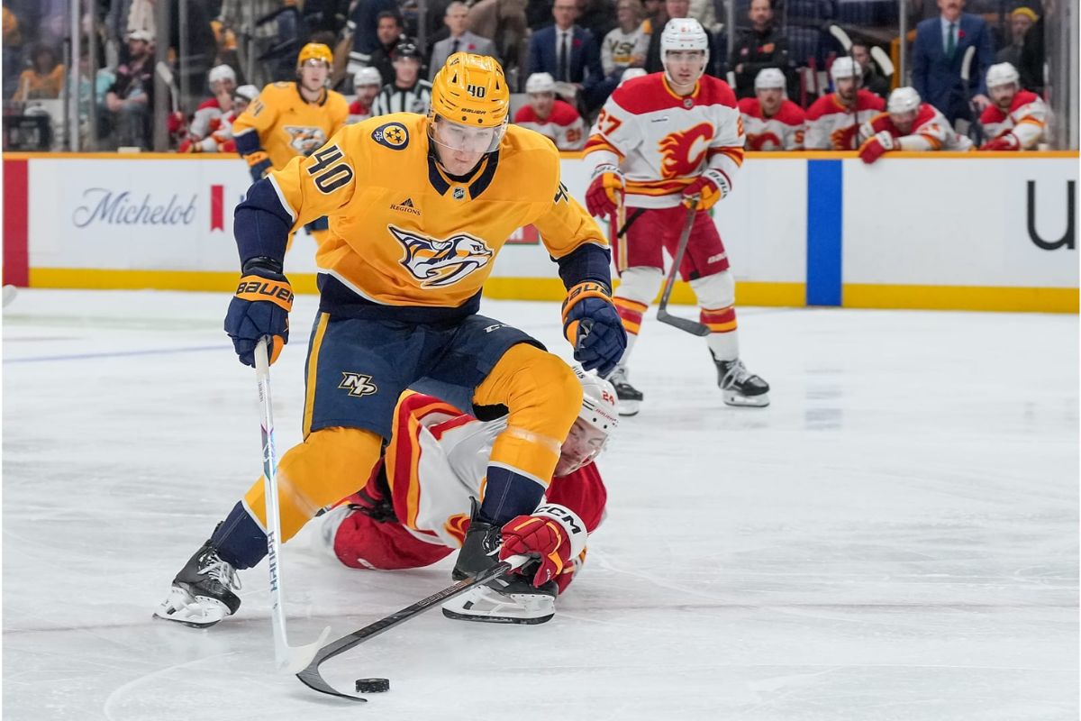 30 Facts About Flames Vs Predators 