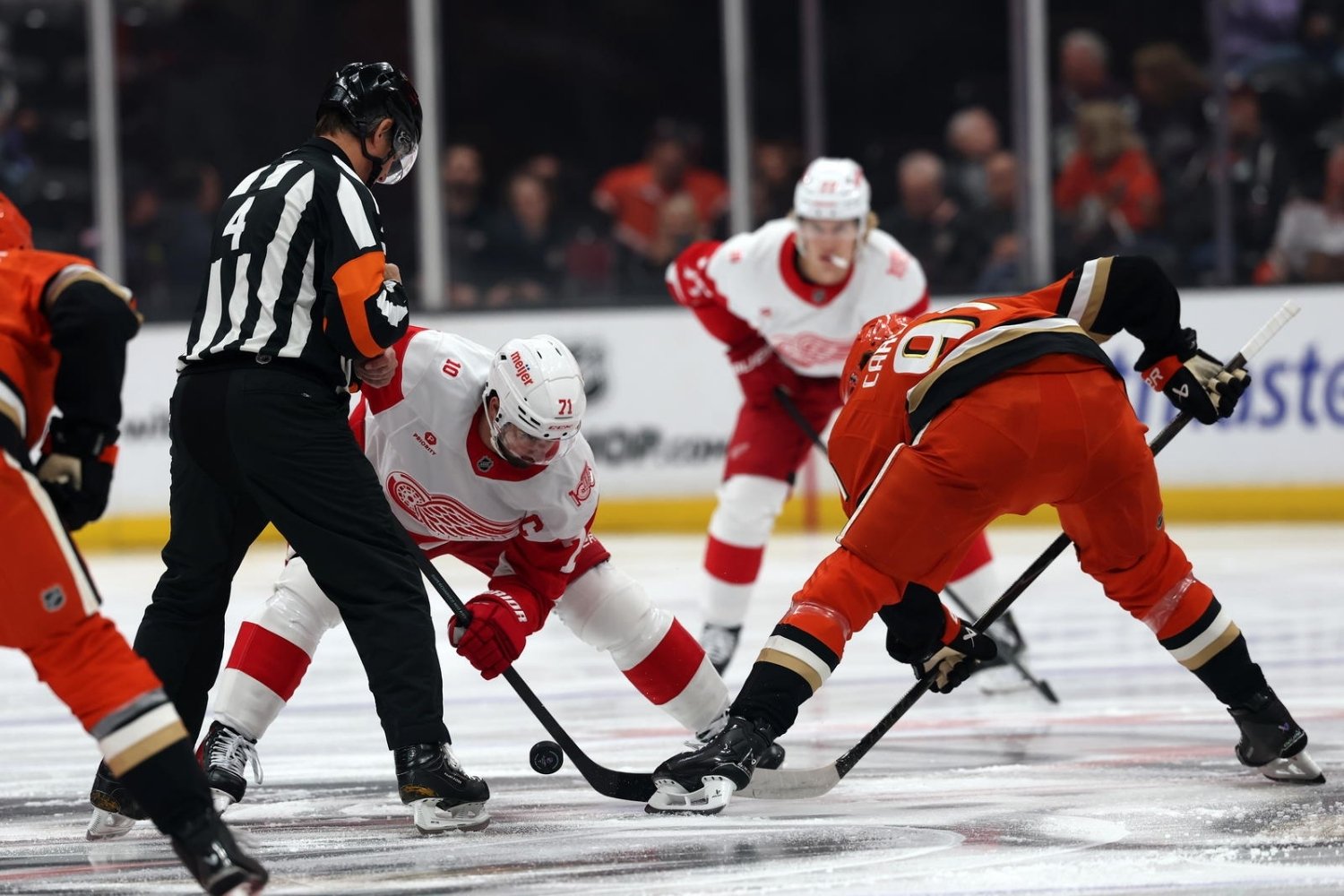 30 Facts About Red Wings Vs Ducks 