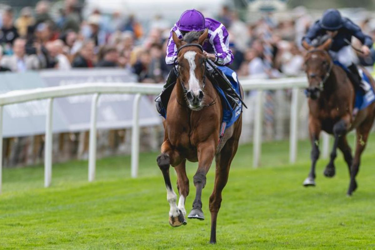 30 Facts About The Breeders Cup 