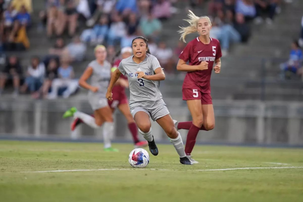 32 Facts About Florida State Vs Stanford 