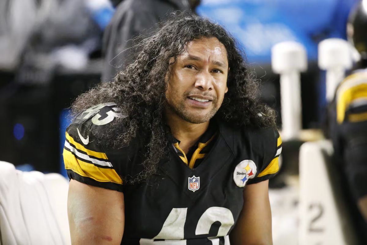 35 Facts About Troy Polamalu 