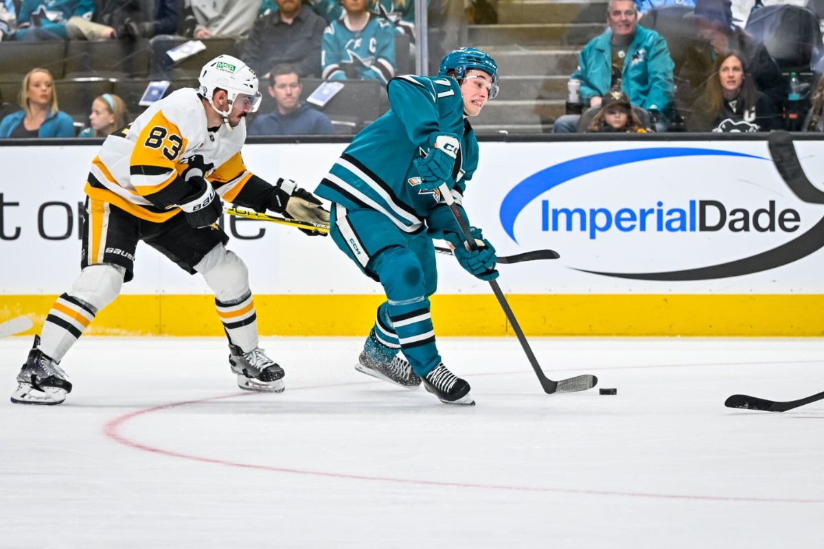 36 Facts About Penguins Vs Sharks 