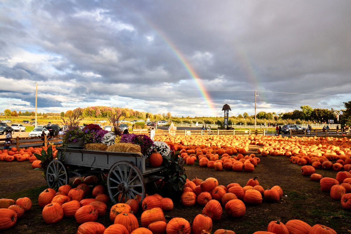 25 Facts About Canadian Thanksgiving 2025 