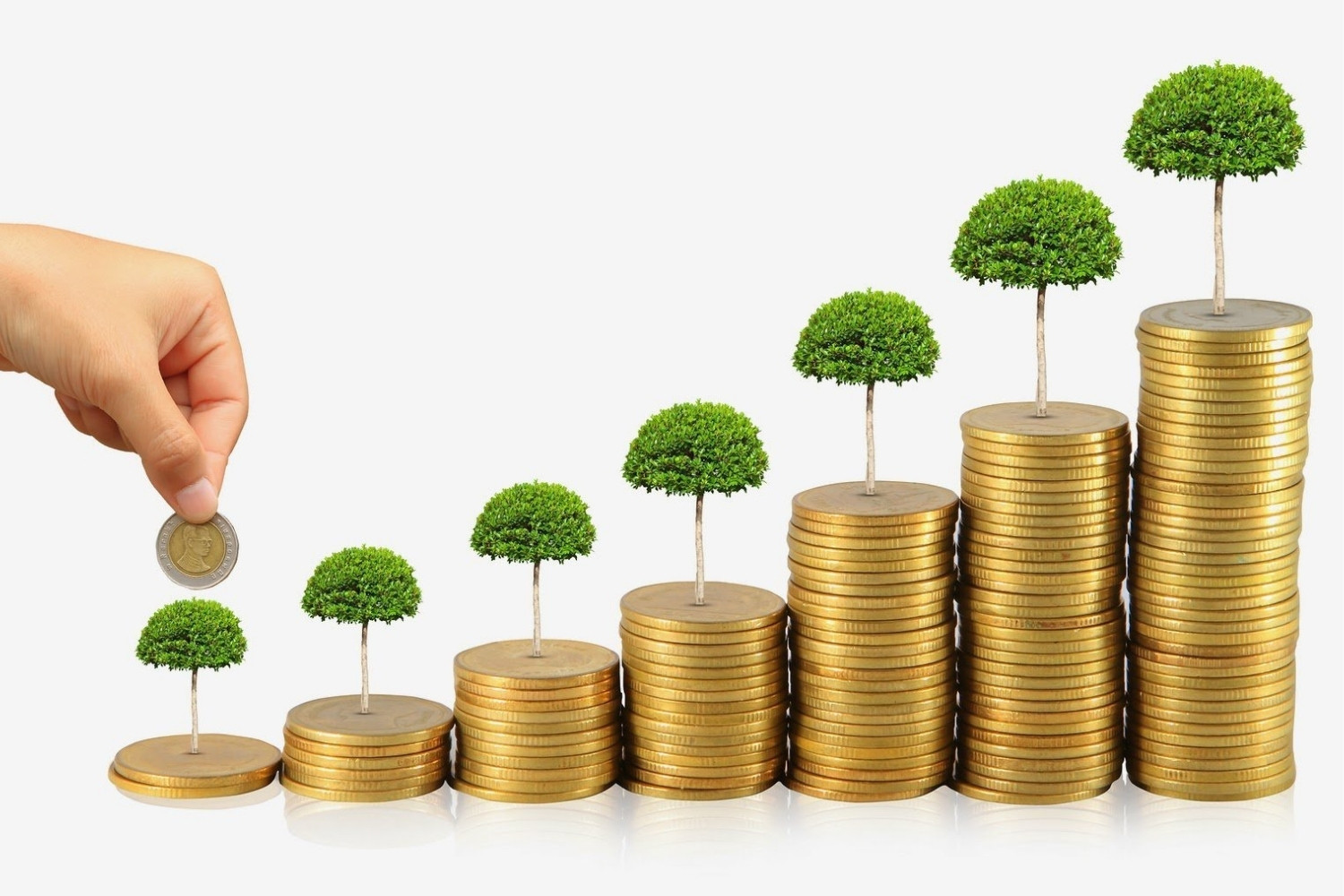 25 Facts About Capital 