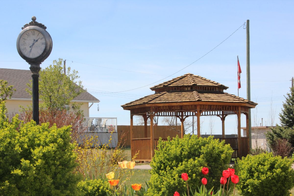 25 Facts About Champion Alberta 