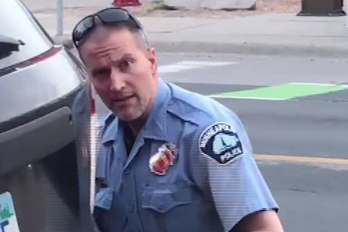 25 Facts About Derek Chauvin 