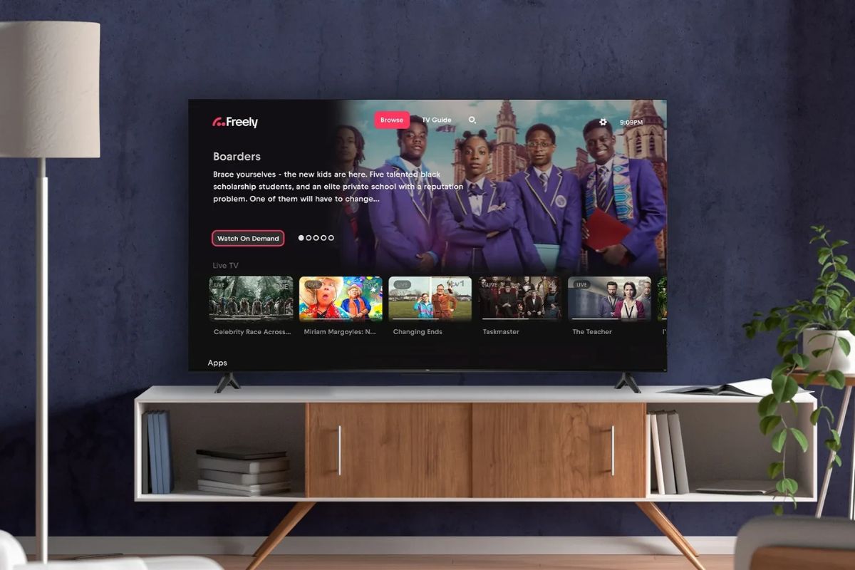 25 Facts About Freely TV 