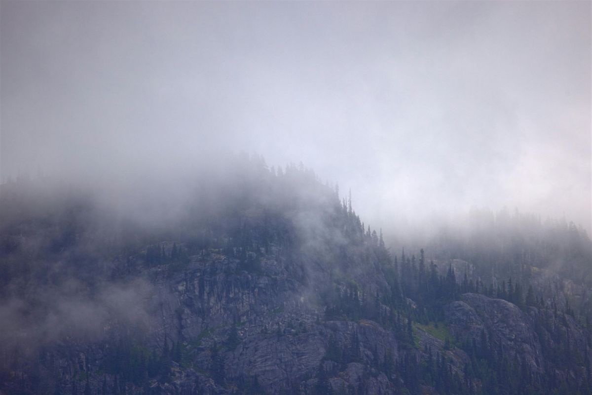 25 Facts About Freezing Fog 