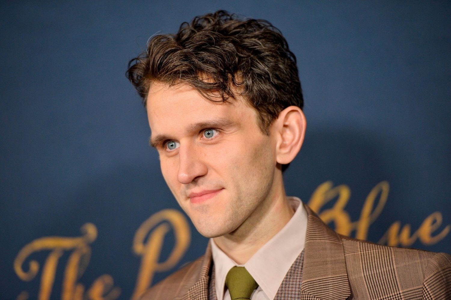 25 Facts About Harry Melling 