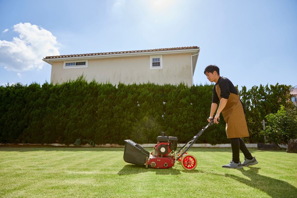 25 Facts About Lawns 
