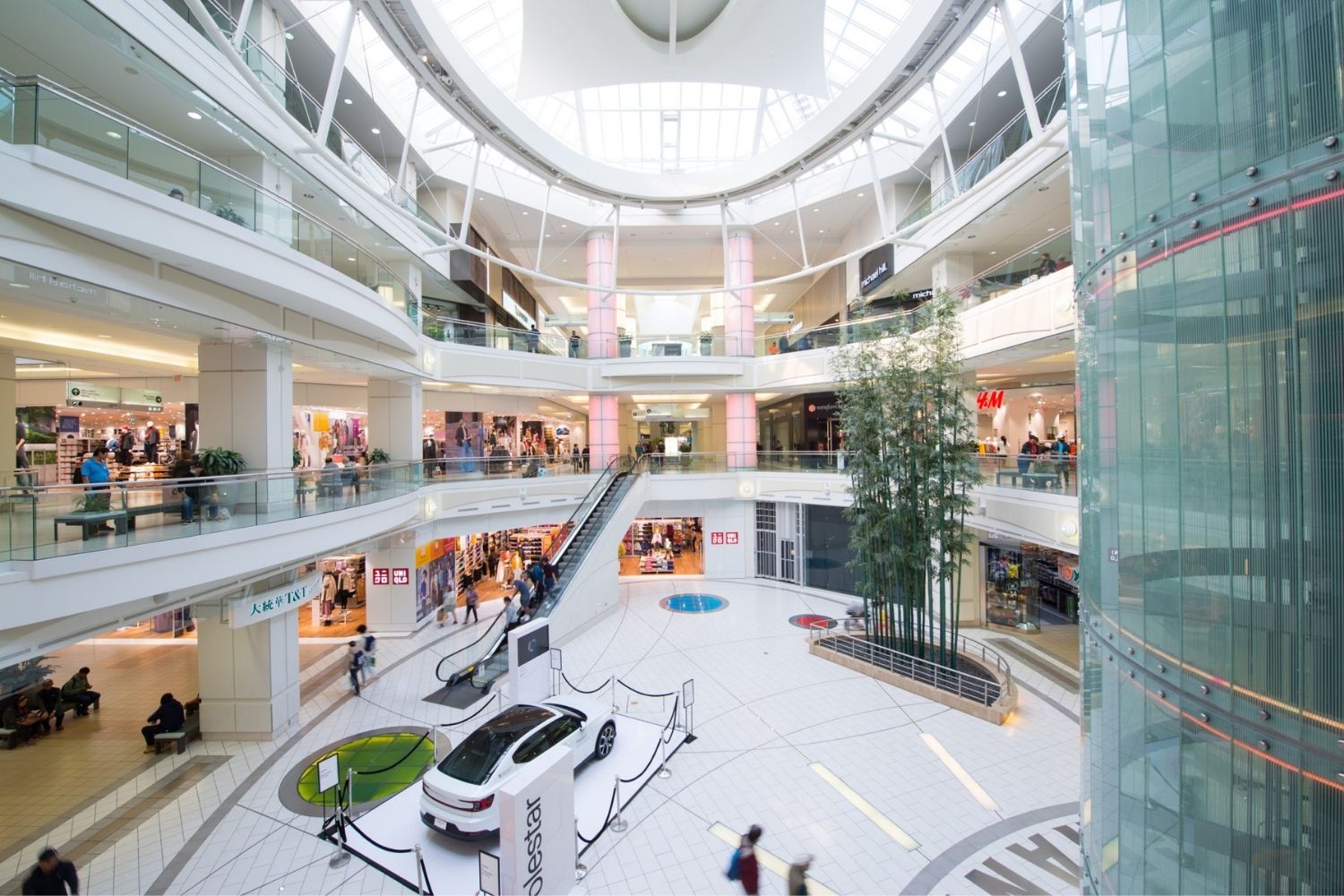 25 Facts About Metrotown 