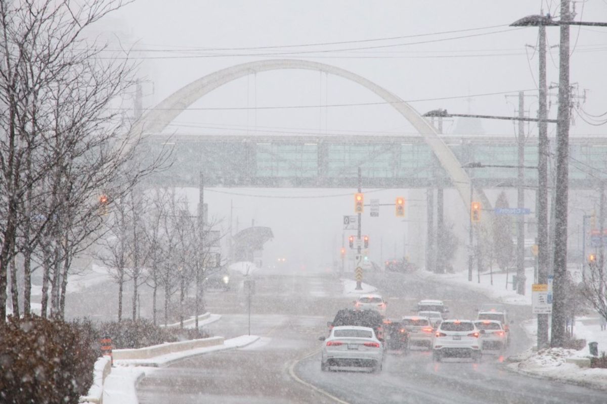 25 Facts About Newmarket Weather 