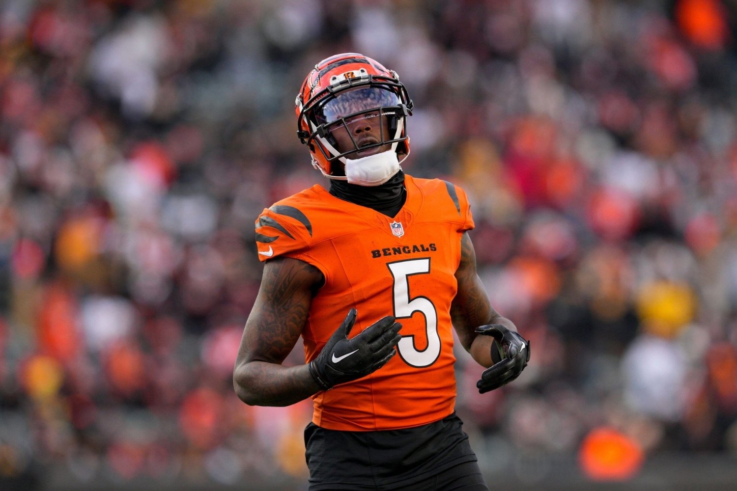 25 Facts About NFL Free Agent Quarterbacks 