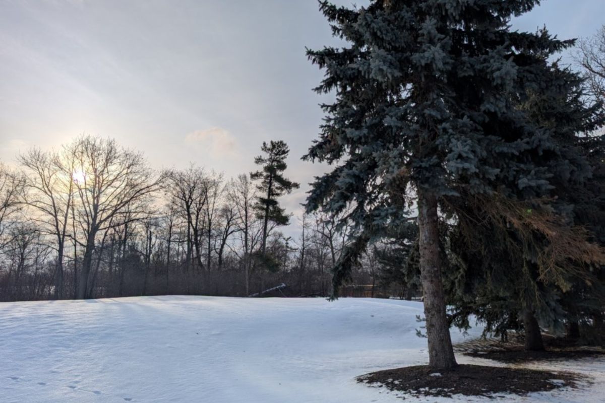 25 Facts About Oakville Weather 