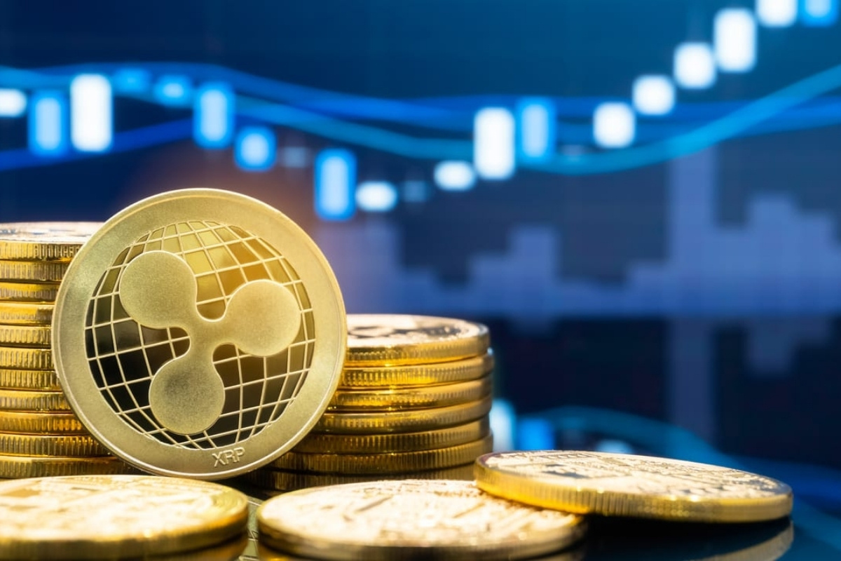 25 Facts About Ripple 