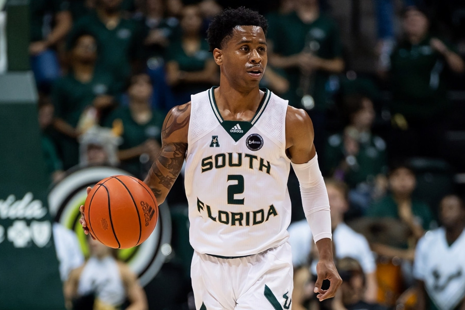 25 Facts About South Florida Basketball 
