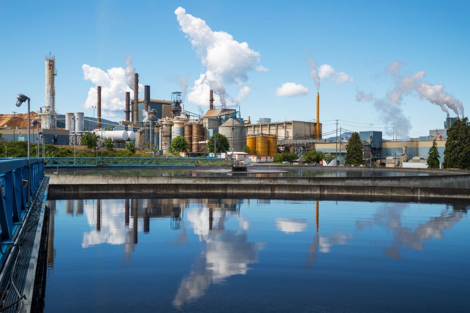 25 Facts About The Crofton Pulp Mill 
