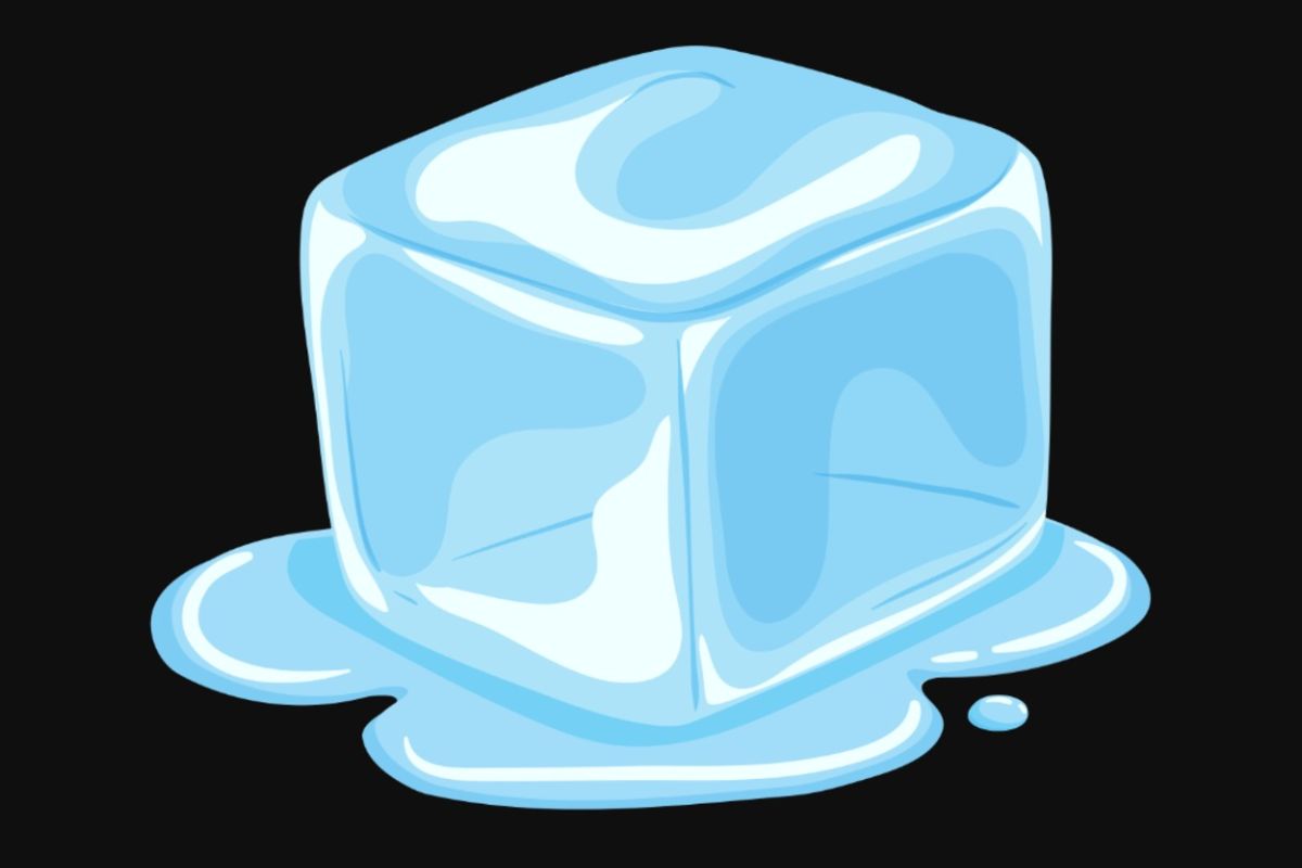 25 Facts About The Iceblock App 