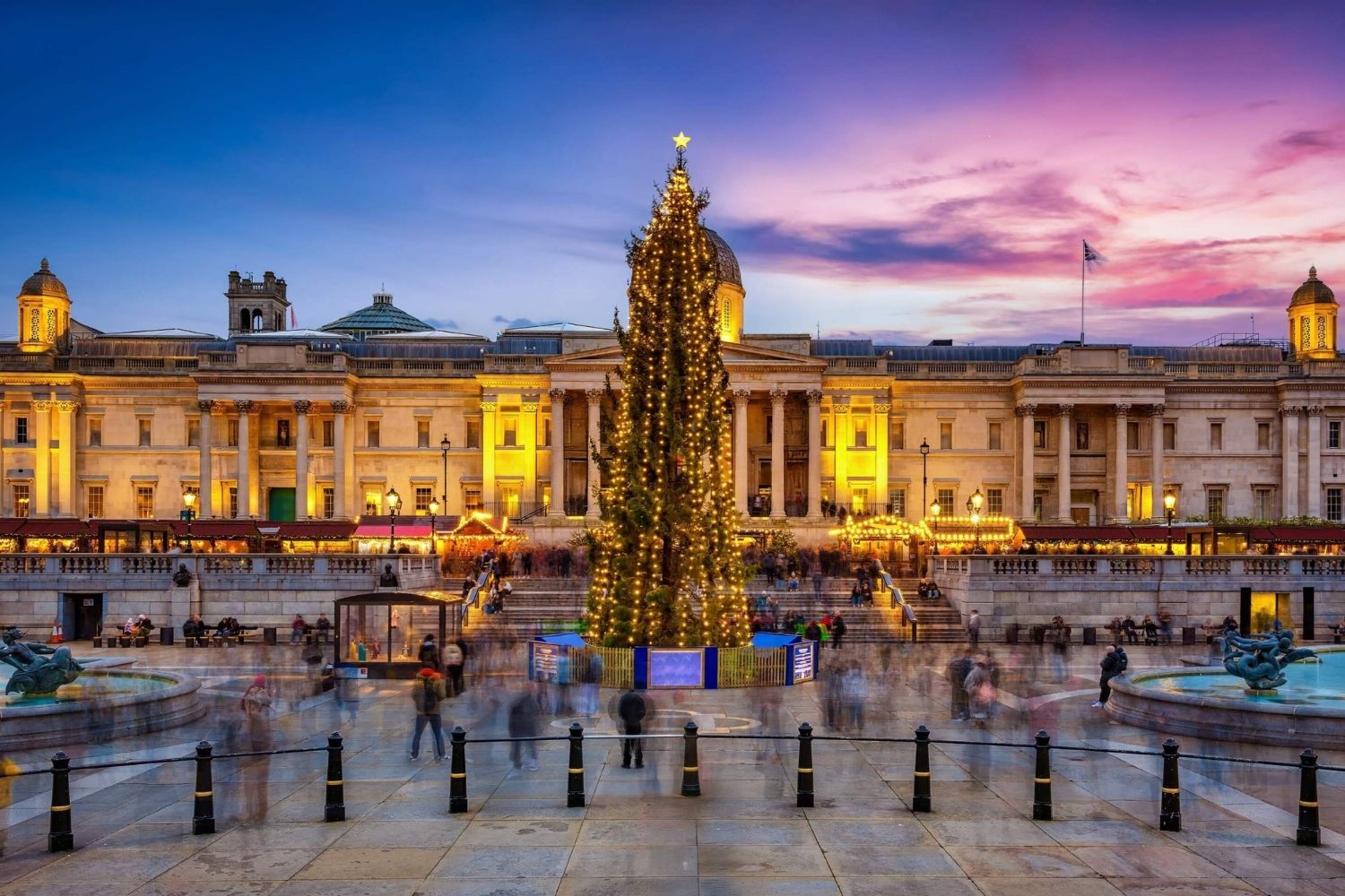 25 Facts About The Trafalgar Square Christmas Tree 