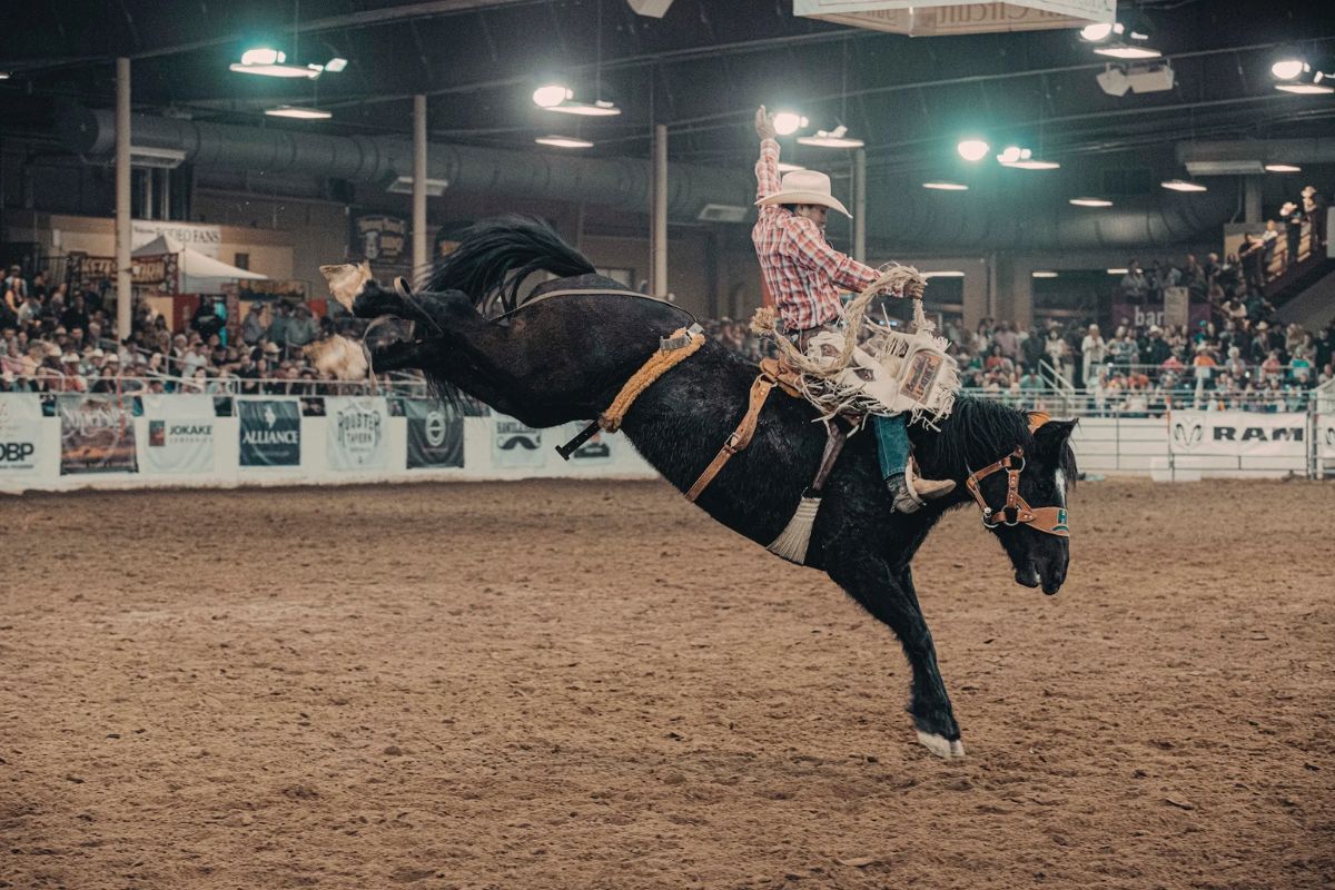 25 Sports Events Facts About The NFR National Finals Rodeo 