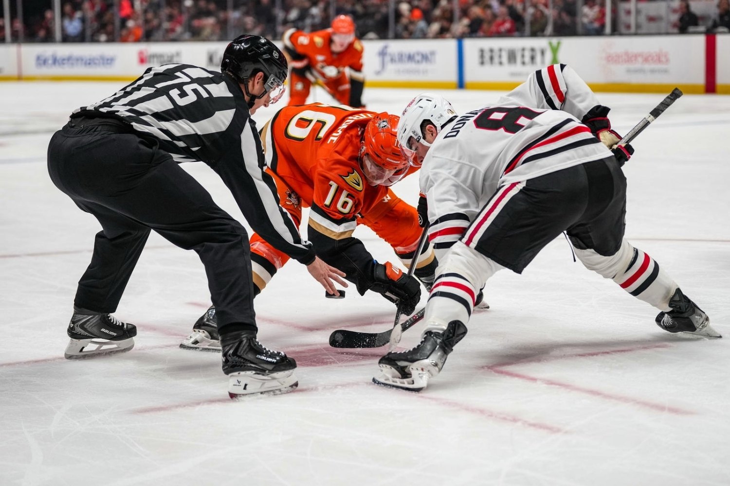 30 Facts About Blackhawks Vs Ducks 