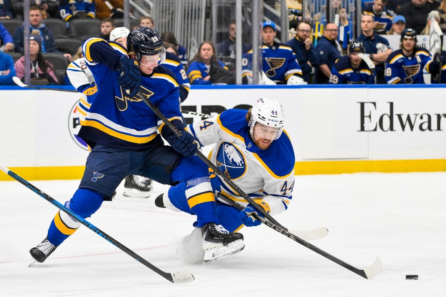 30 Facts About Blues Hockey 