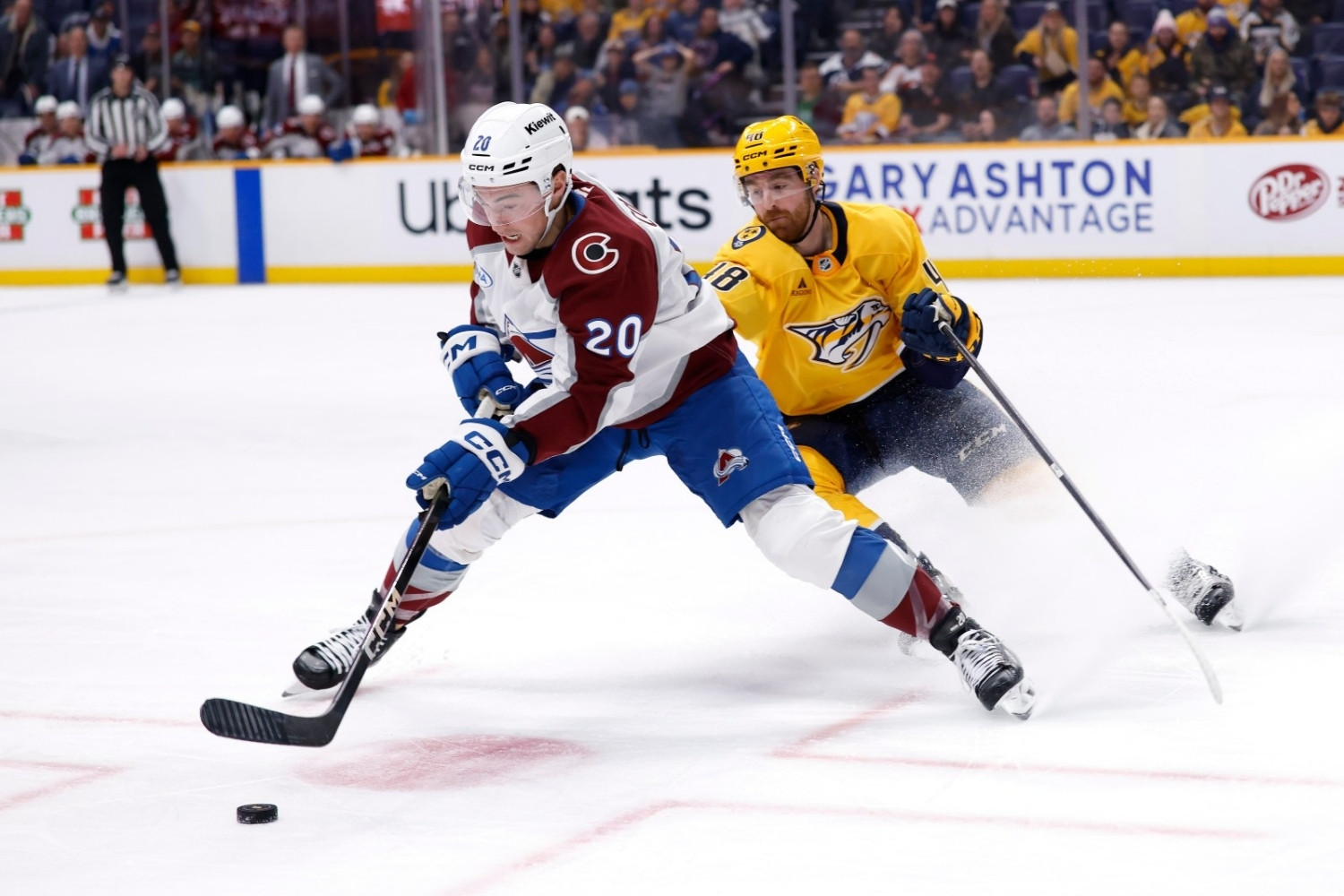 30 Facts About Predators Vs Avalanche 