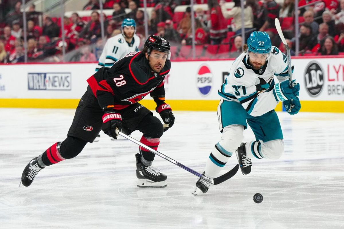 30 Facts About Sharks Vs Hurricanes 