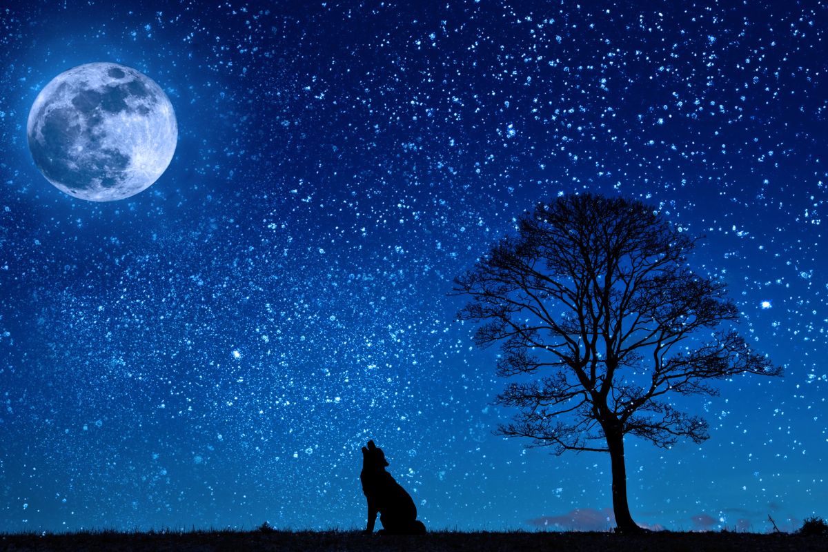 30 Facts About The Blue Moon 