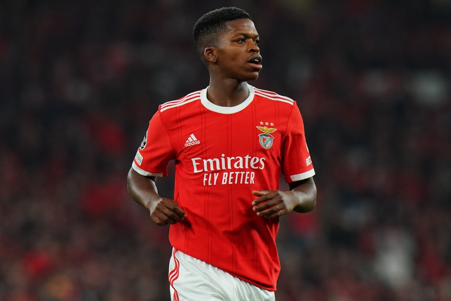 35-facts-about-benfica