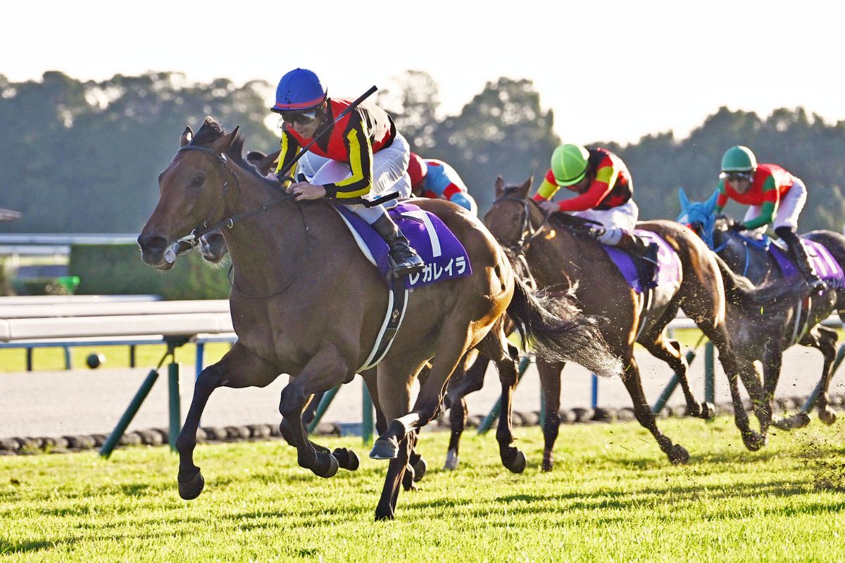 25 Facts About Arima Kinen 2025 