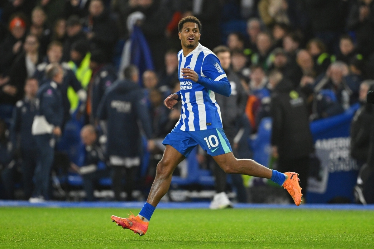 25 Facts About Brighton Vs Sunderland 